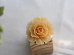-美斯烘焙培训学院•蛋糕•面包•咖啡(宝安校区)
