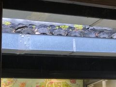 -猫的天空之城概念书店(杭州南宋御街店)