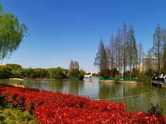 -黄兴公园