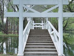 -上海共青森林公园