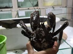 -海盗餐厅