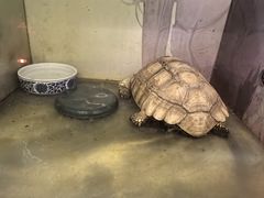 -上海大自然野生昆虫馆(东方明珠·爬宠昆虫探索中心)