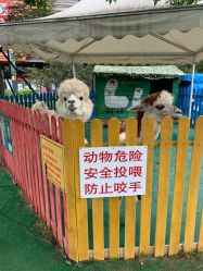 -萌宠亲子动物乐园(槐房万达店)