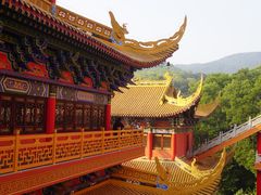 -东莞市大岭山森林公园