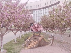 -国家动漫园
