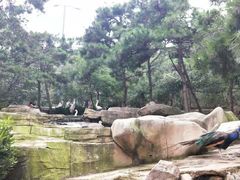 -燕塞湖鸟语林景区