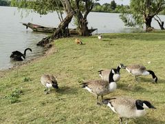 -长兴太湖图影湿地文化园