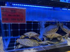-小满海鲜·别院(天津旗舰店)
