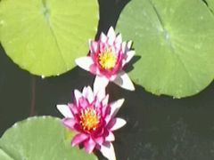 android_upload_pic-文瀛公园