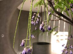 -二酉书店TOYOU BOOKS