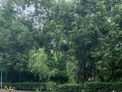 -大妙火锅·非物质文化遗产(东湖公园店)