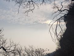 -北京鹫峰国家森林公园