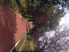 iphone_upload_pic-帐篷客·溪龙茶谷度假酒店