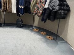 -ZARA(世贸天阶店)