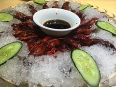 -怪怪龙虾·澳洲蓝龙王·深夜食堂(惊驾路店)