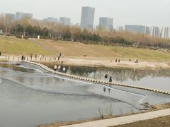 -洨河生态公园