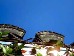 -暮晚尘香汉服旗袍