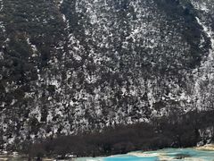 -黄龙山原始森林景区