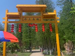 -渌洋湖湿地公园