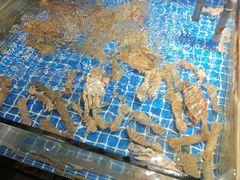 -小时候焗海鲜(鄞州万达店)