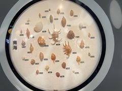 -海合安青岛极地海洋公园