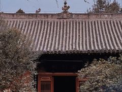 -洛阳白马寺