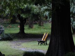 -杭州植物园