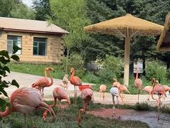 -哈尔滨北方森林动物园