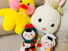 -PAWTOY爪e玩偶店(天兴罗斯福店)