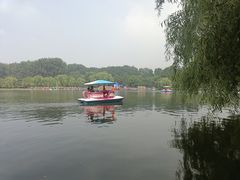 -二一九公园