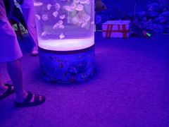 -金铂广场(龙归店)