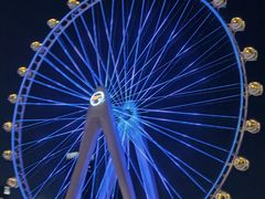 -蔻蔻椰·鲜萃椰子水(欢乐港湾店)