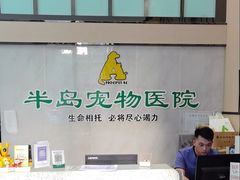 -半岛宠物医院24小时(科华中路店)
