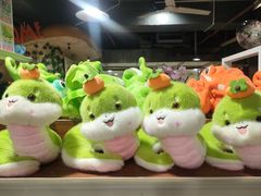 -上海大自然野生昆虫馆(东方明珠·爬宠昆虫探索中心)