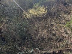 -藏龙百瀑风景区