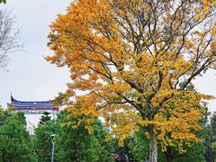 -牛岗山公园