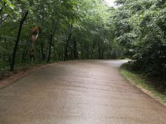 -五女峰国家森林公园