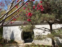 -丰台花园