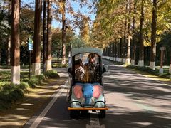 -黄海国家森林公园