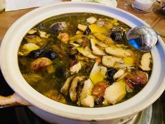 -杨记山珍鸡煲菌汤锅