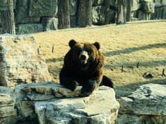 -北京野生动物园