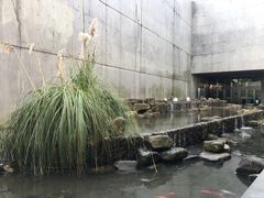 -中国湿地博物馆