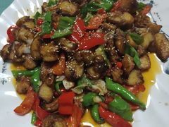 -煲来饱去冷水鱼