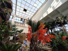 -悦隆庄温泉度假酒店