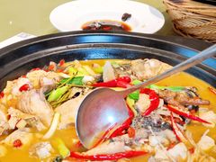 -7017浙菜•建德味(中财店)