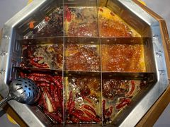 -蜀九香火锅(九眼桥店)