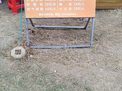 -鹅湖玫瑰文化园