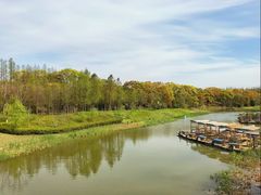 -上海长兴岛郊野公园