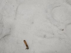 -长沙湘江欢乐雪域