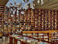 -朵云书院(滴水湖店)